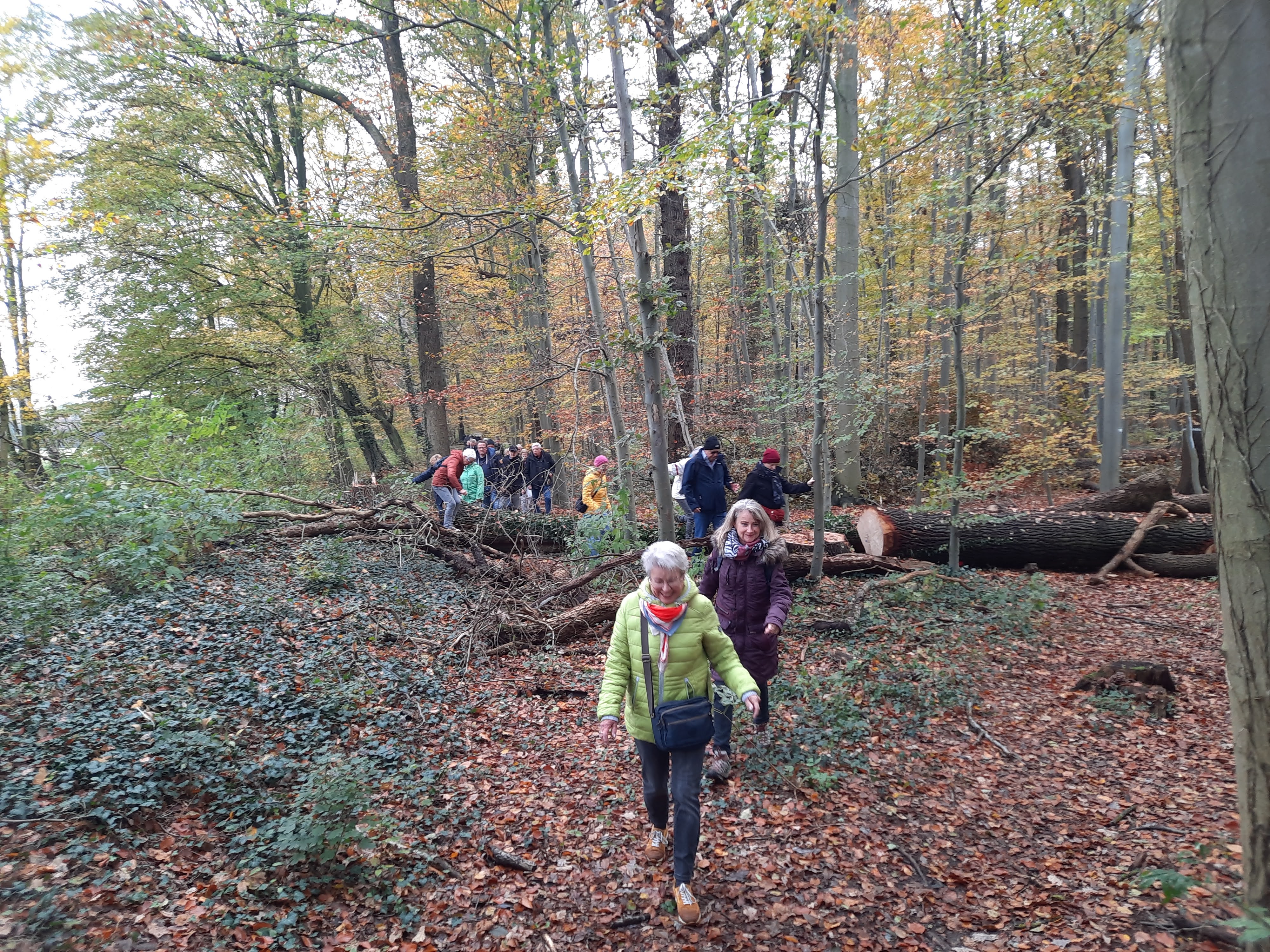 Durch Feld, Wald und Wiese